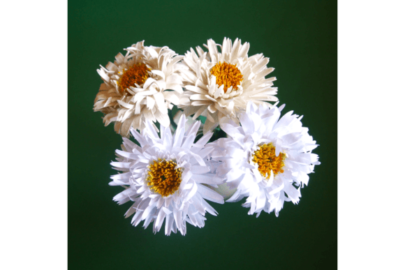 Crazy Daisy 3D SVG Paper Flowers Review