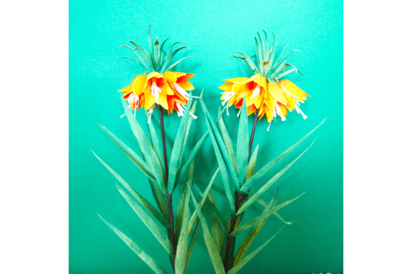 Fritillaria Imperialis 3D SVG Paper Flowers
