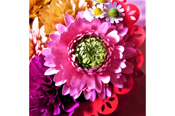 Gerbera Pomponi 3D SVG for Paper Flowers