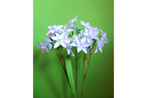 Narcissus Paperwhite 3D SVG for Paper Flowers